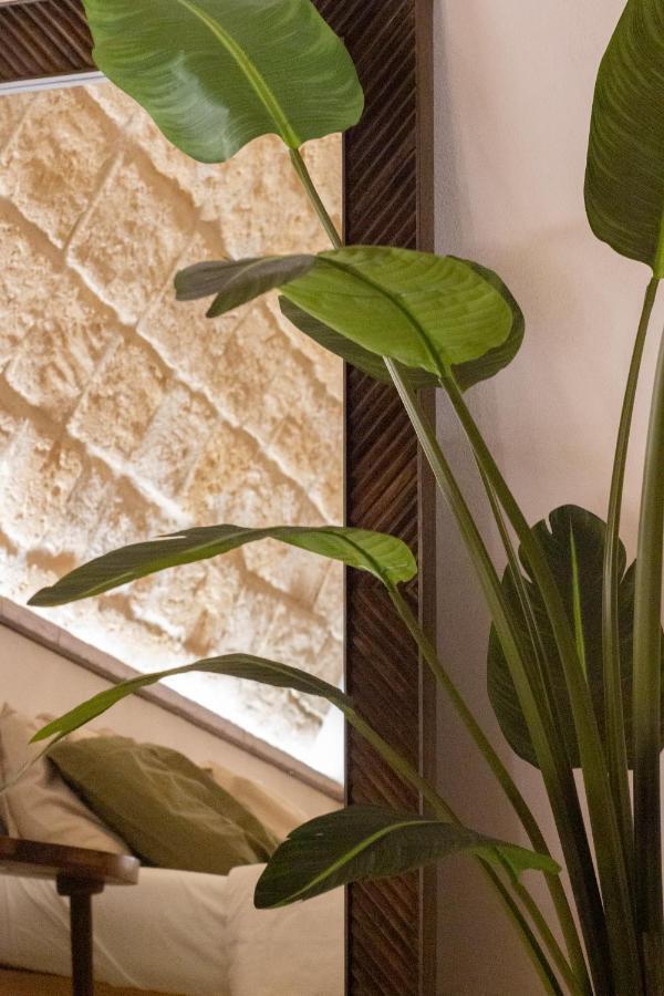 Pasithea - Casa Della Serenita Trani Exteriér fotografie